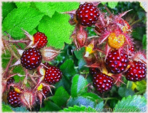 Nigels wineberries