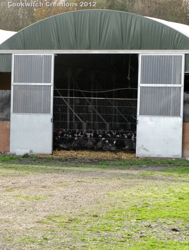 Hiding from the wind